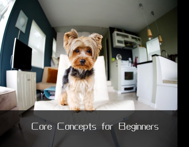 Core Concepts for Beginners