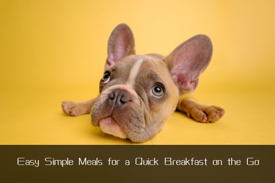 Easy Simple Meals for a Quick Breakfast on the Go