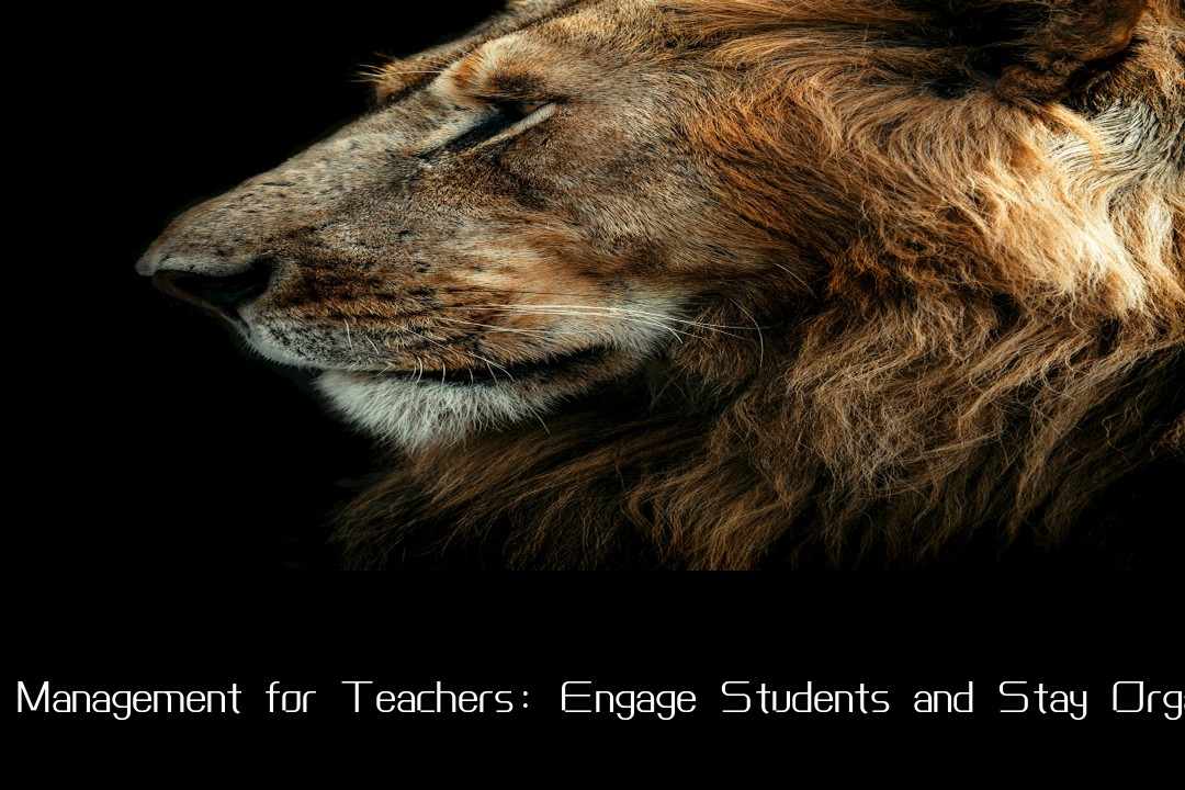 Time Management for Teachers: Engage Students and Stay Organized