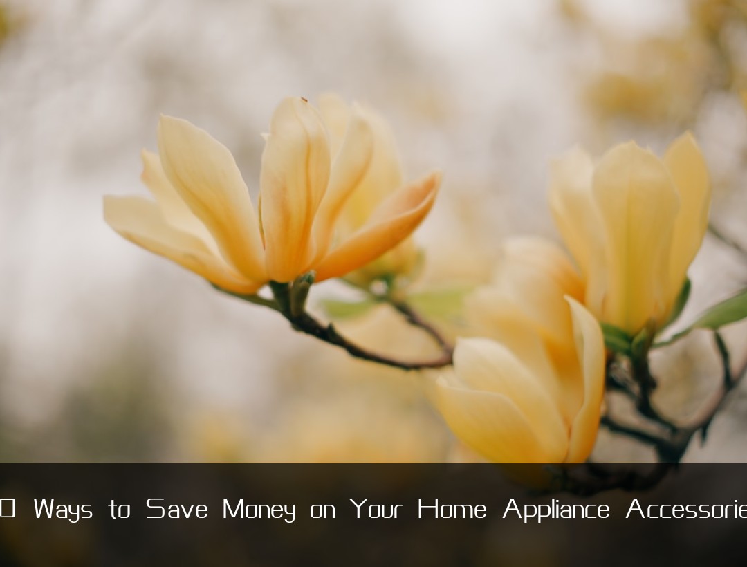 10 Ways to Save Money on Your Home Appliance Accessories