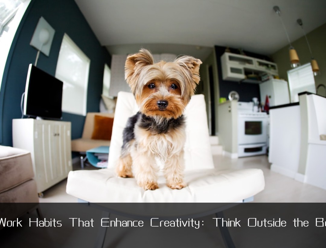 Work Habits That Enhance Creativity: Think Outside the Bo