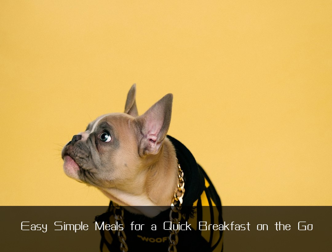 Easy Simple Meals for a Quick Breakfast on the Go