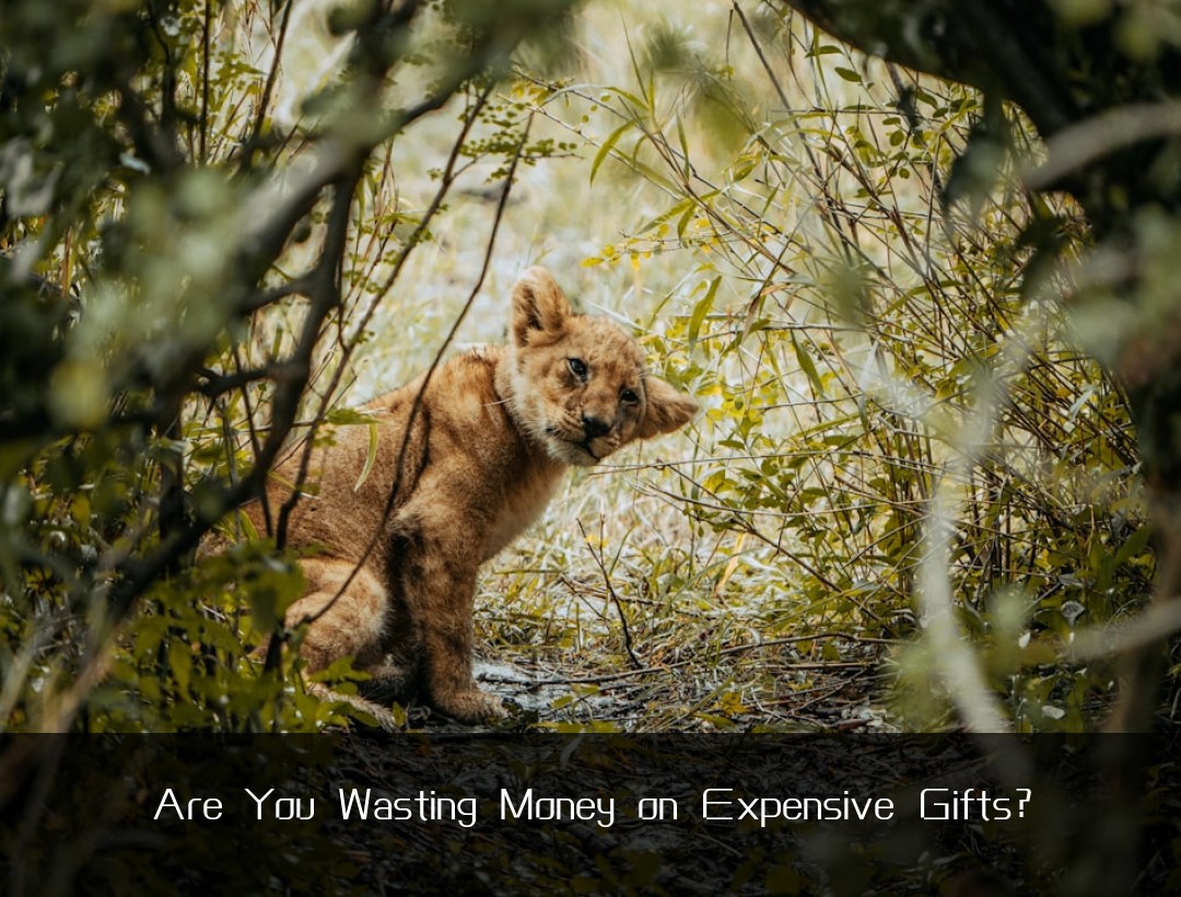 Are You Wasting Money on Expensive Gifts?
