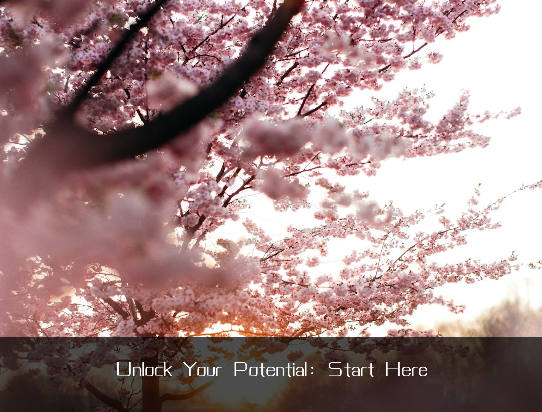 Unlock Your Potential: Start Here
