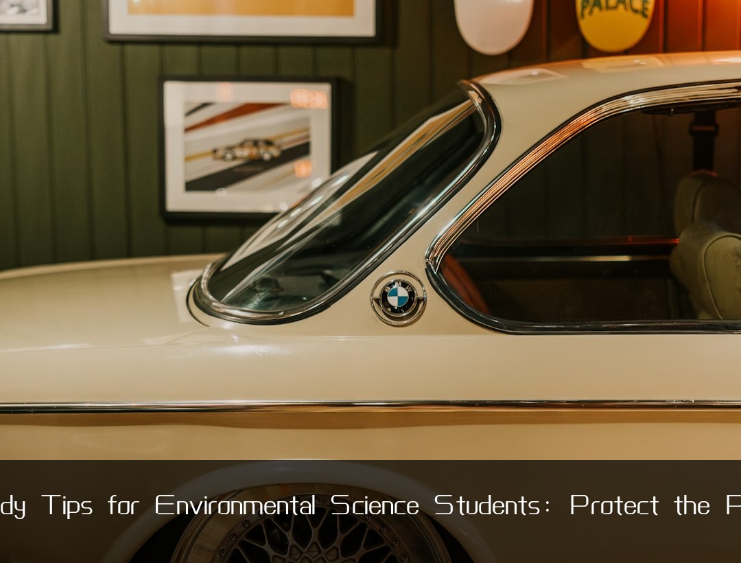 Study Tips for Environmental Science Students: Protect the Plane