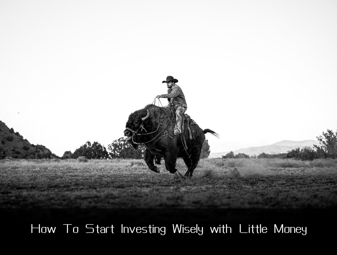 How To Start Investing Wisely with Little Money
