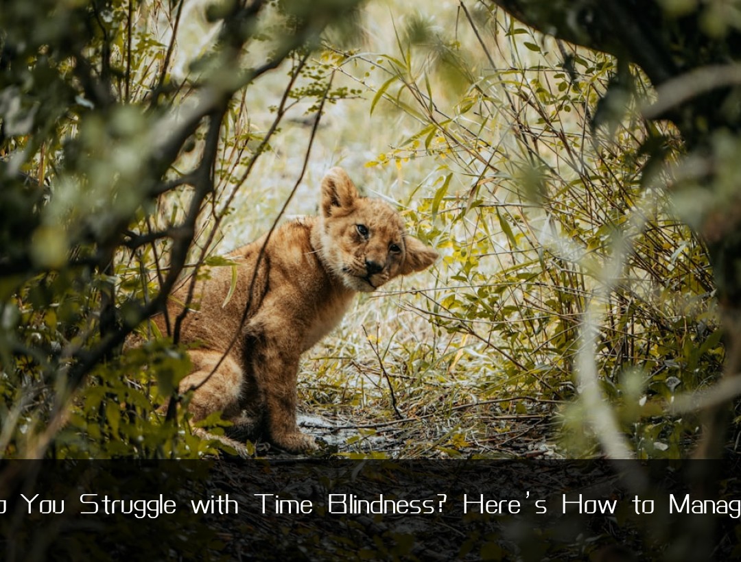Do You Struggle with Time Blindness? Here’s How to Manage I