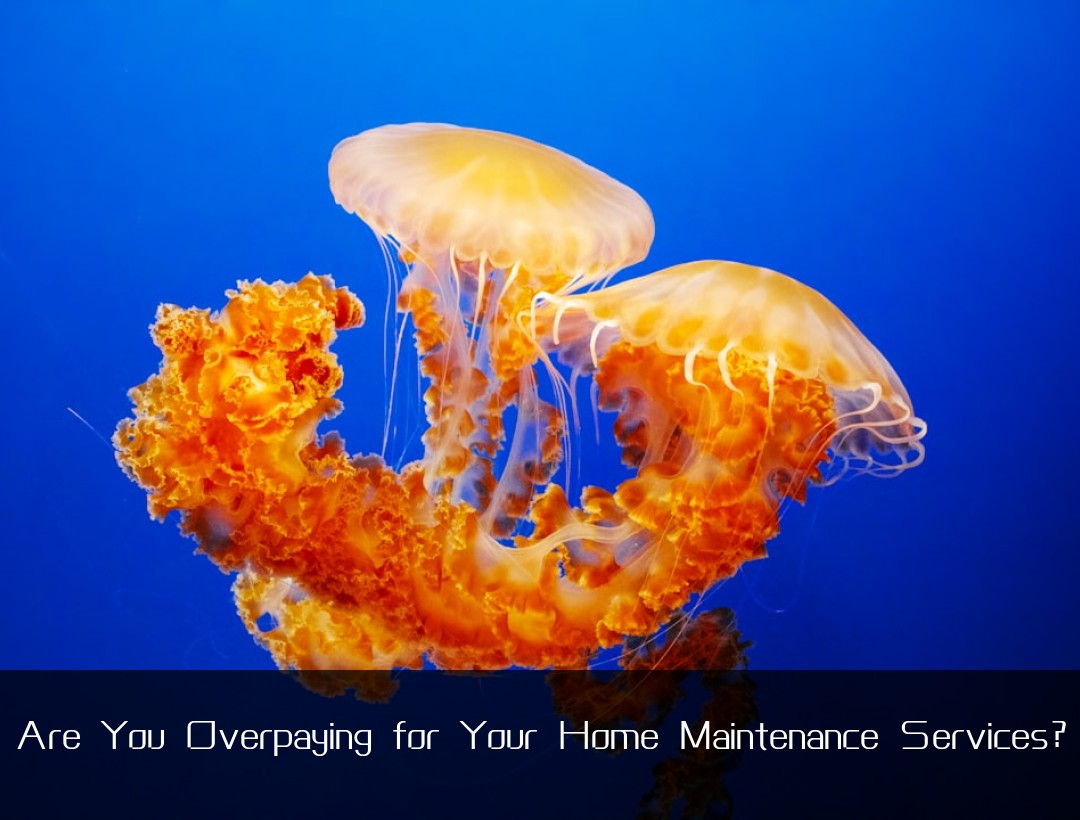 Are You Overpaying for Your Home Maintenance Services?