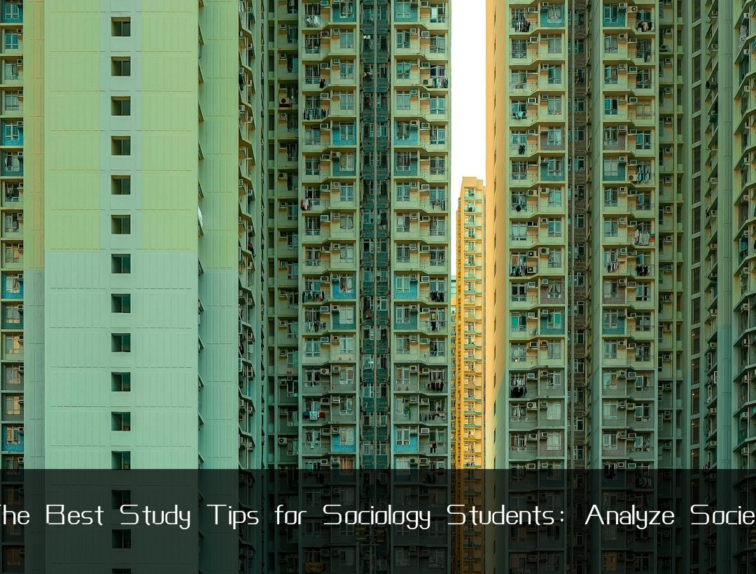 The Best Study Tips for Sociology Students: Analyze Society