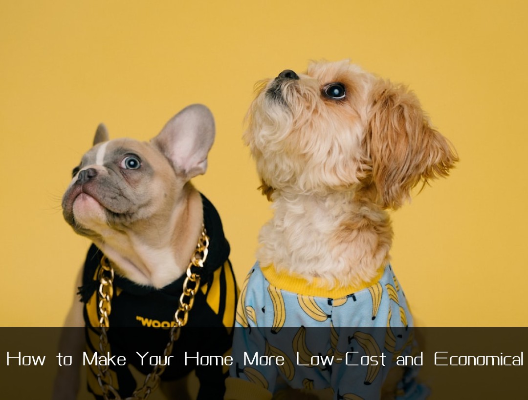 How to Make Your Home More Low-Cost and Economical