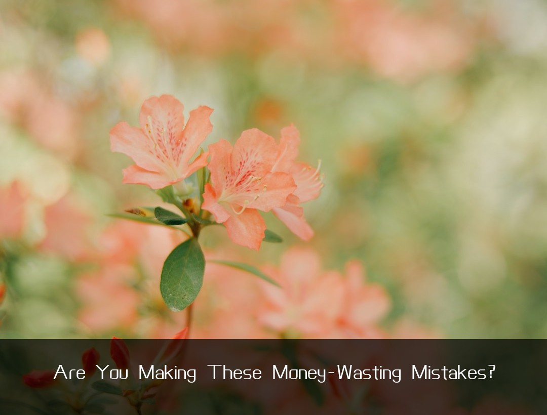 Are You Making These Money-Wasting Mistakes?