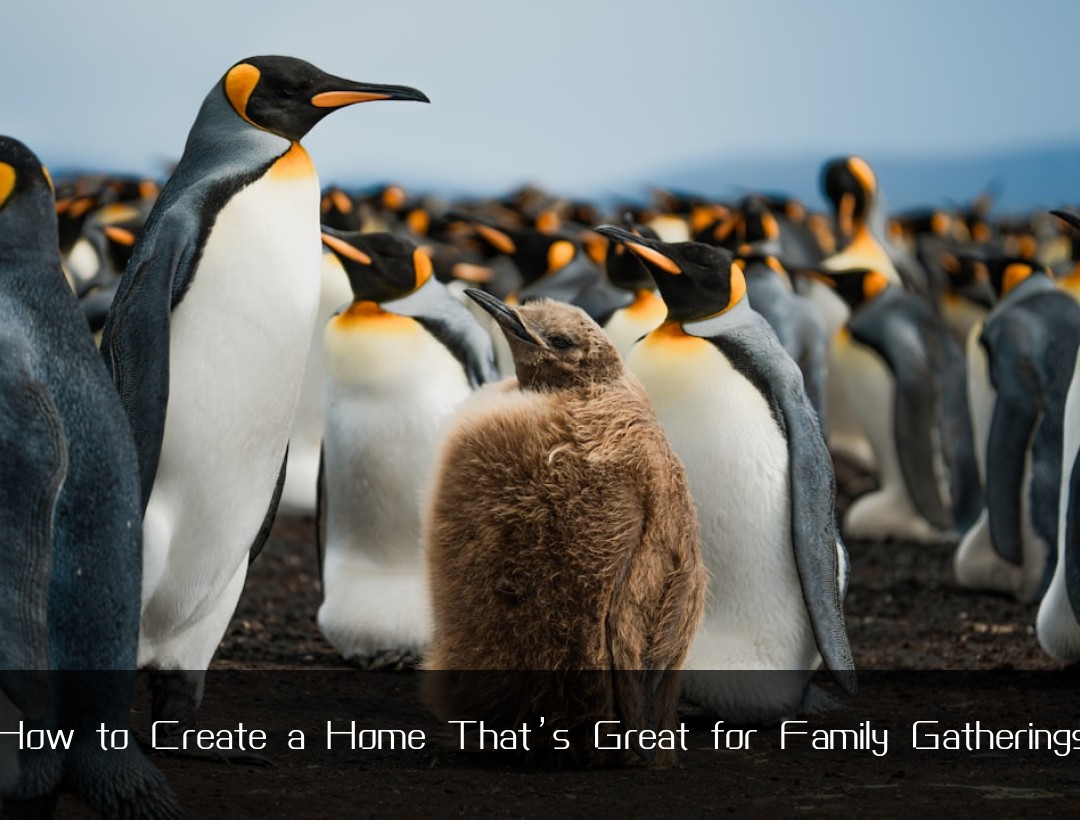 How to Create a Home That’s Great for Family Gatherings