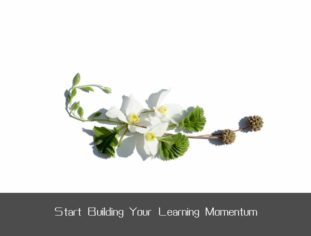 Start Building Your Learning Momentum