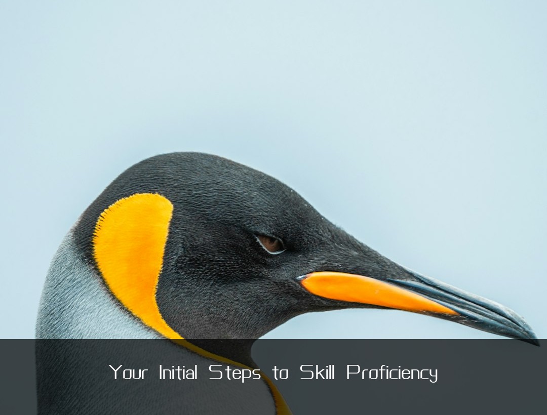 Your Initial Steps to Skill Proficiency