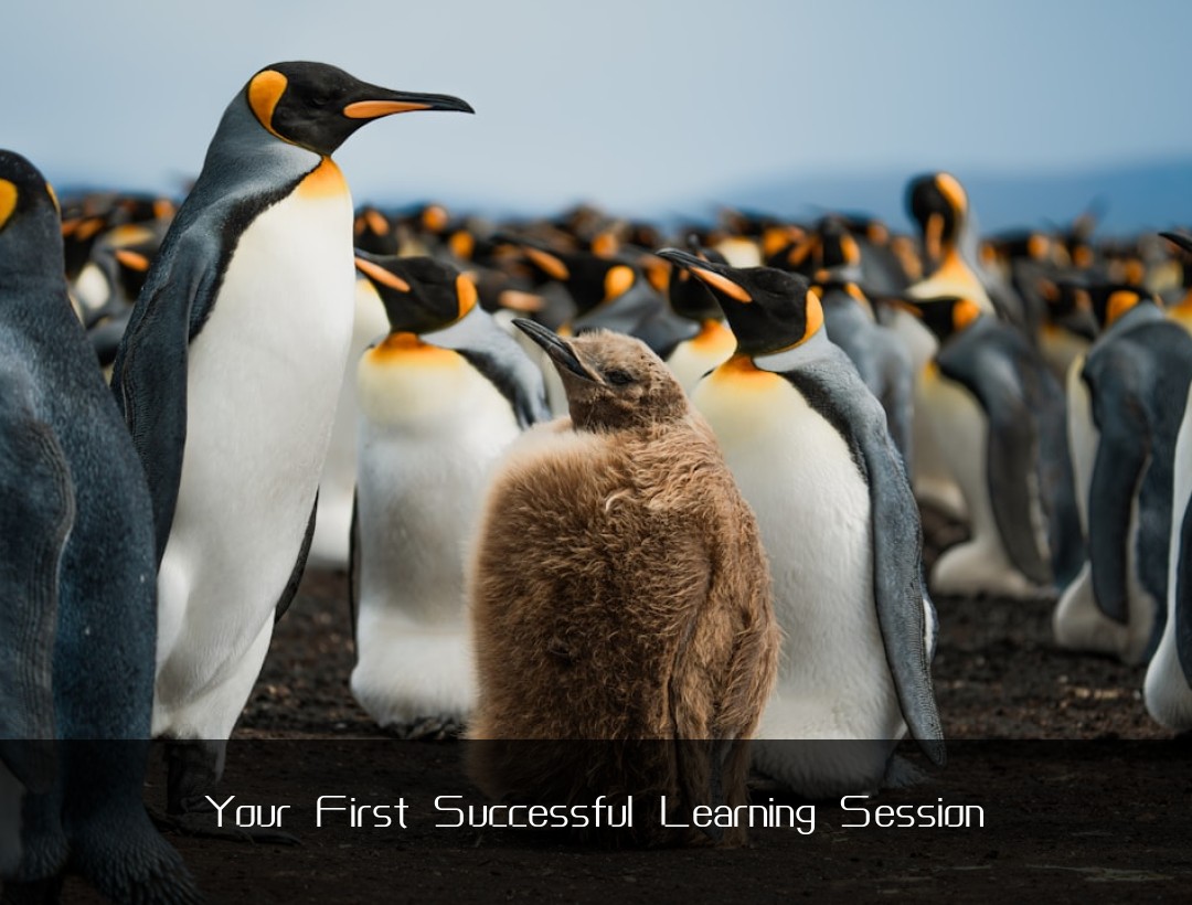 Your First Successful Learning Session
