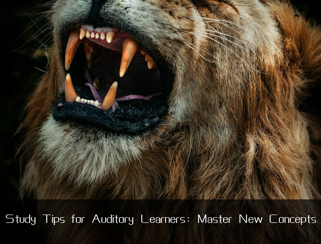 Study Tips for Auditory Learners: Master New Concepts