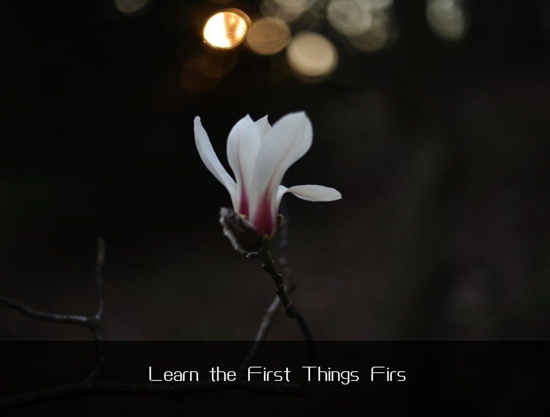Learn the First Things Firs