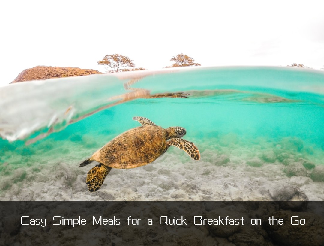 Easy Simple Meals for a Quick Breakfast on the Go