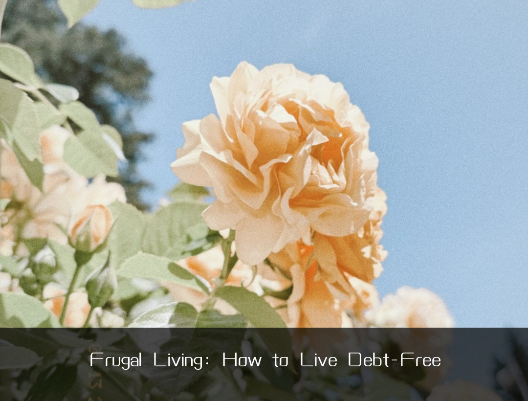 Frugal Living: How to Live Debt-Free