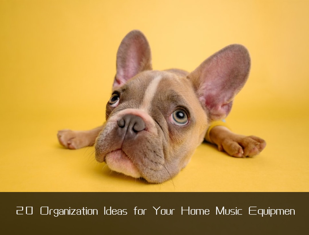 20 Organization Ideas for Your Home Music Equipmen