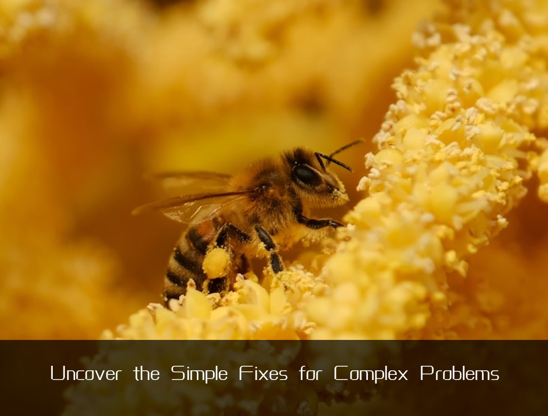 Uncover the Simple Fixes for Complex Problems