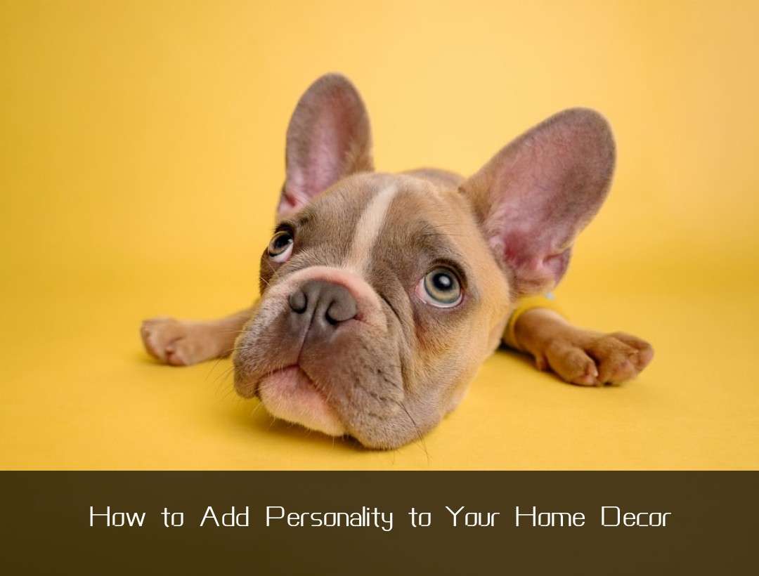 How to Add Personality to Your Home Decor