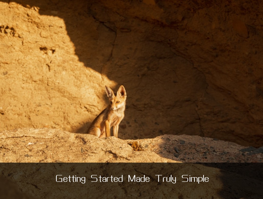 Getting Started Made Truly Simple