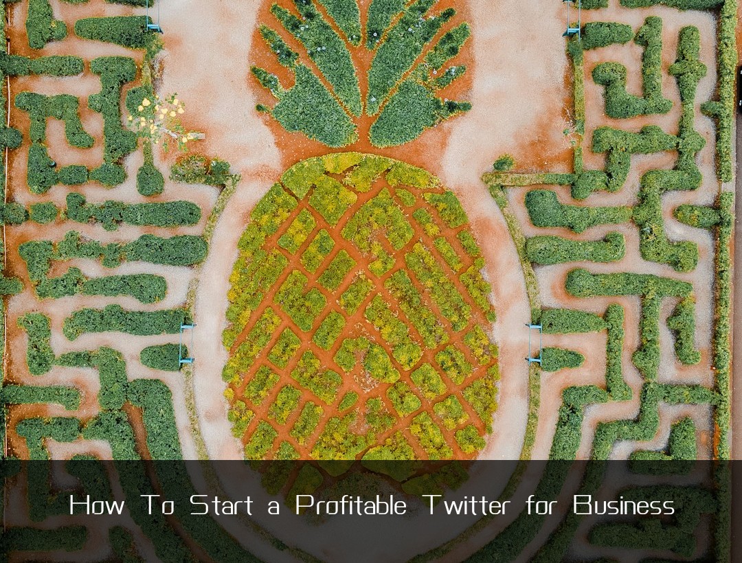 How To Start a Profitable Twitter for Business