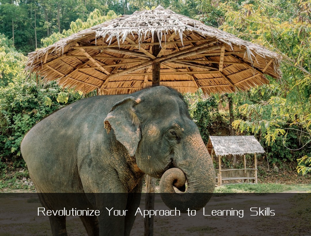 Revolutionize Your Approach to Learning Skills