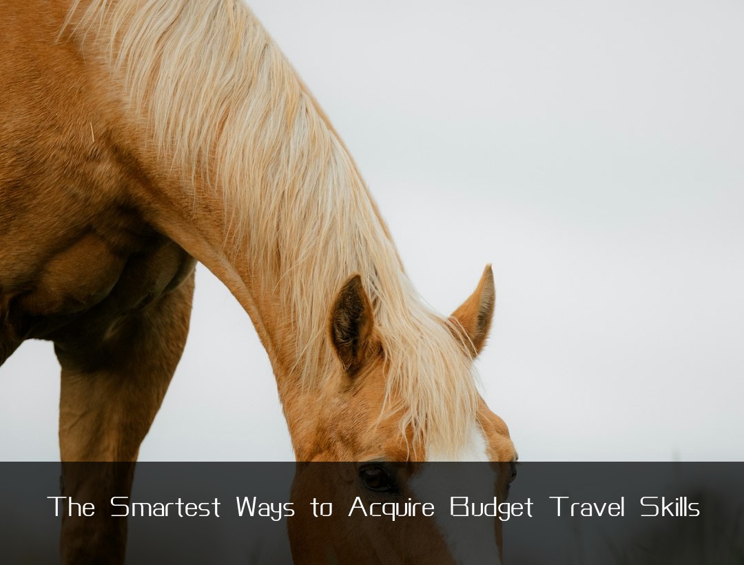 The Smartest Ways to Acquire Budget Travel Skills