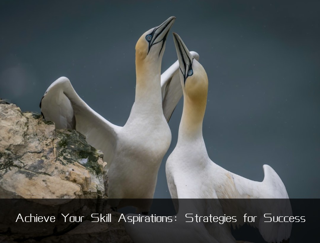 Achieve Your Skill Aspirations: Strategies for Success