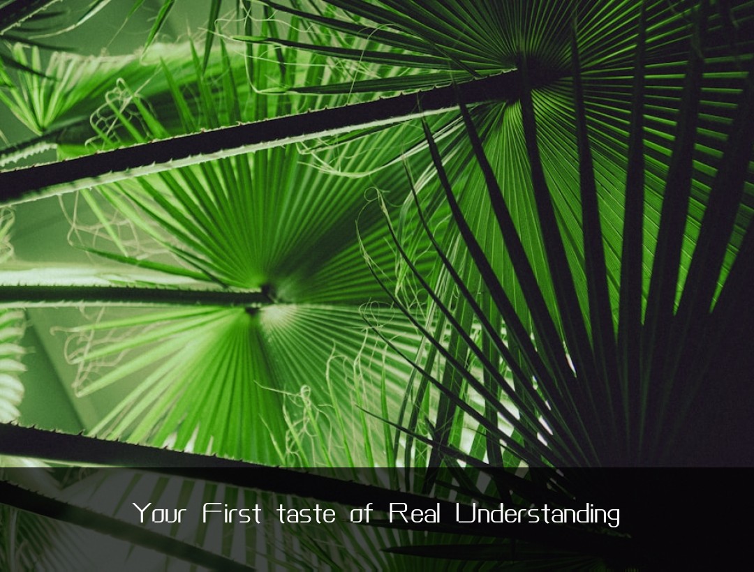 Your First taste of Real Understanding