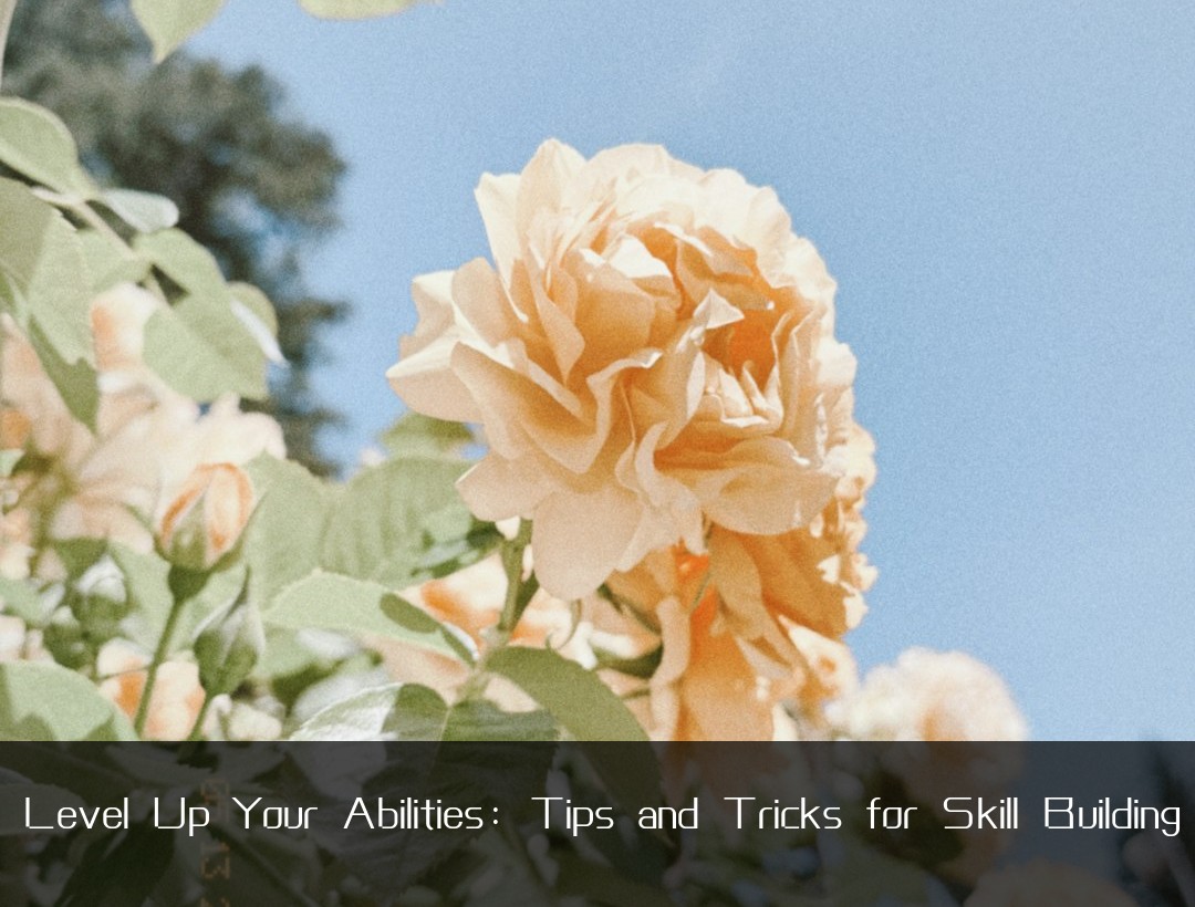 Level Up Your Abilities: Tips and Tricks for Skill Building