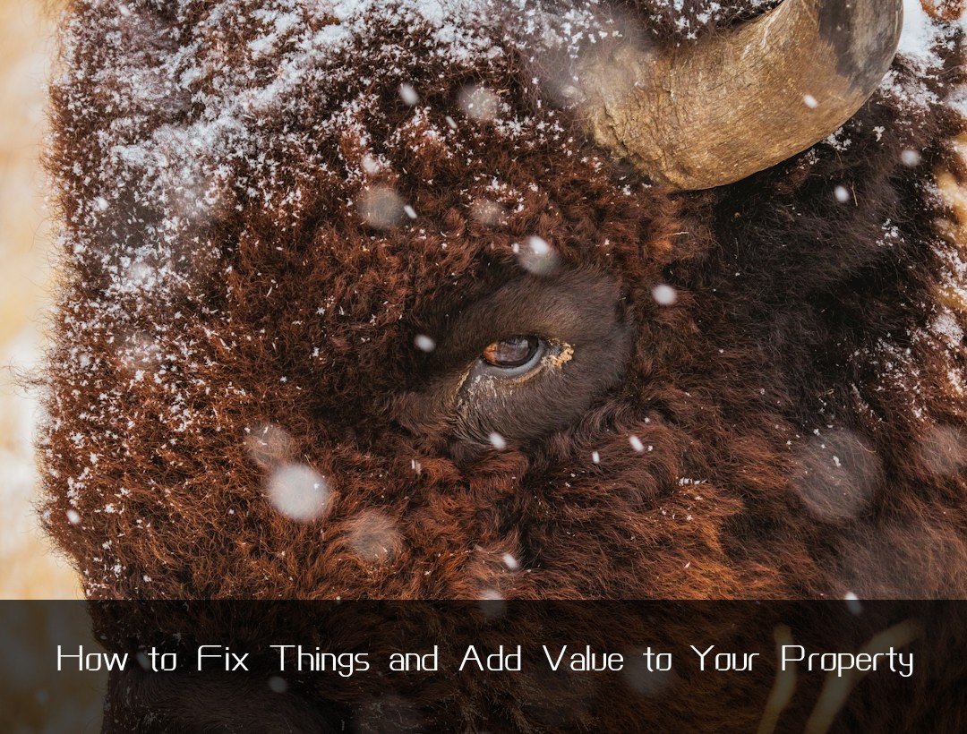 How to Fix Things and Add Value to Your Property