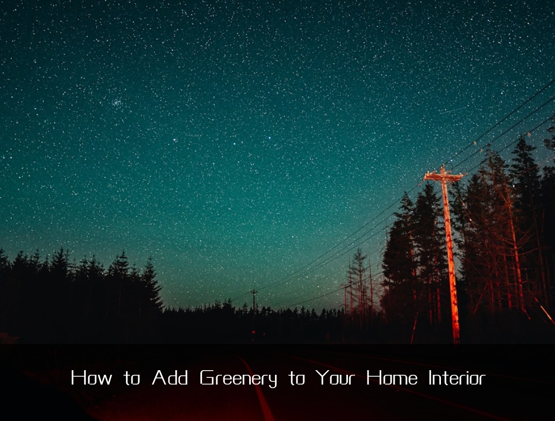 How to Add Greenery to Your Home Interior