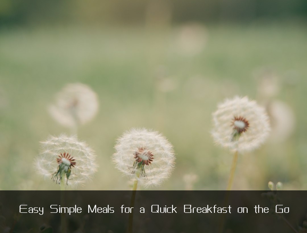Easy Simple Meals for a Quick Breakfast on the Go