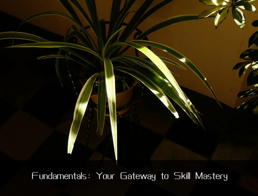 Fundamentals: Your Gateway to Skill Mastery