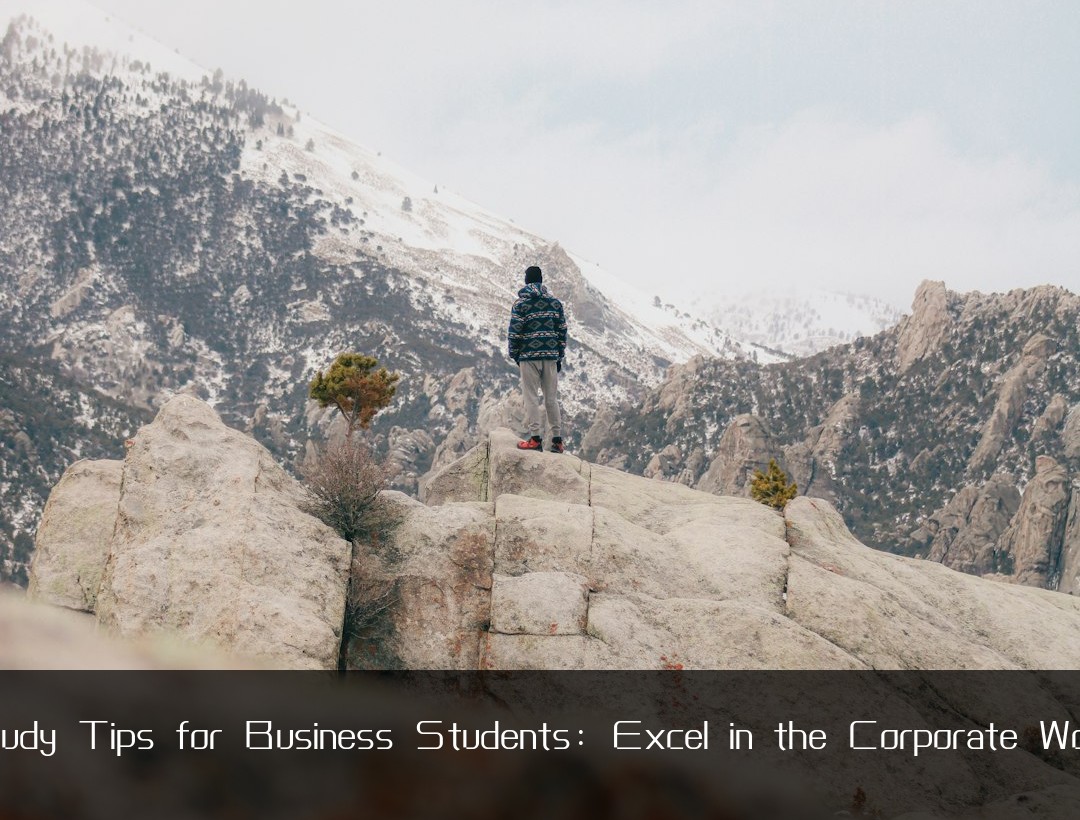 Study Tips for Business Students: Excel in the Corporate World