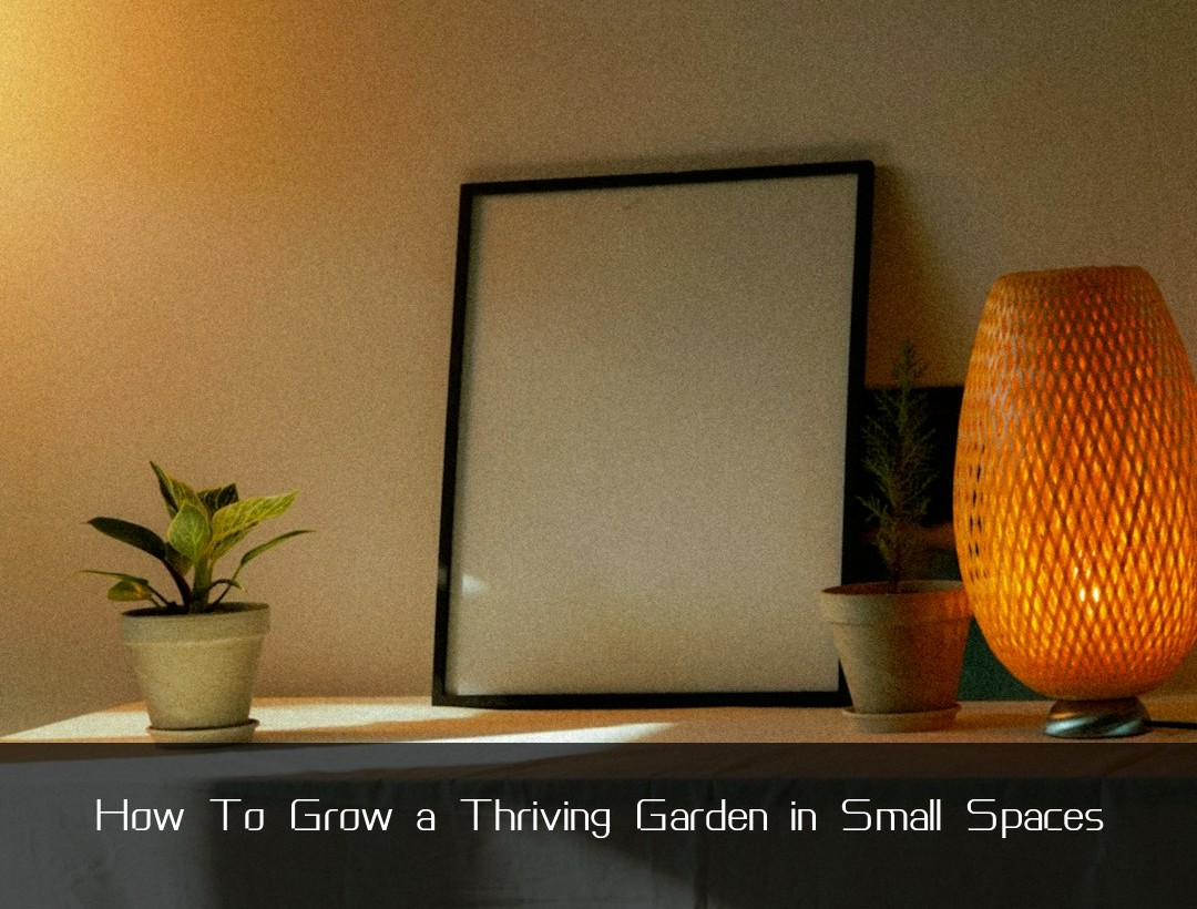 How To Grow a Thriving Garden in Small Spaces
