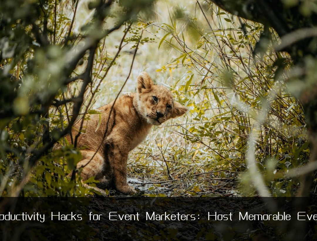 Productivity Hacks for Event Marketers: Host Memorable Events