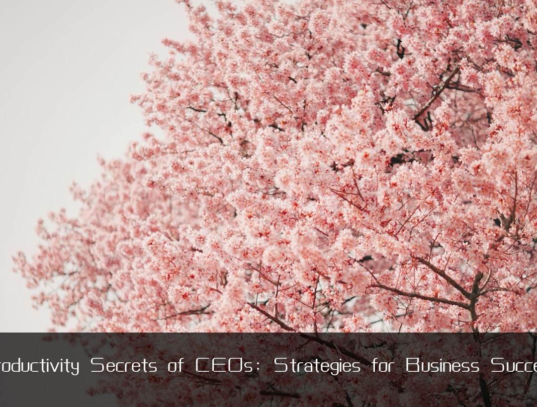 Productivity Secrets of CEOs: Strategies for Business Success