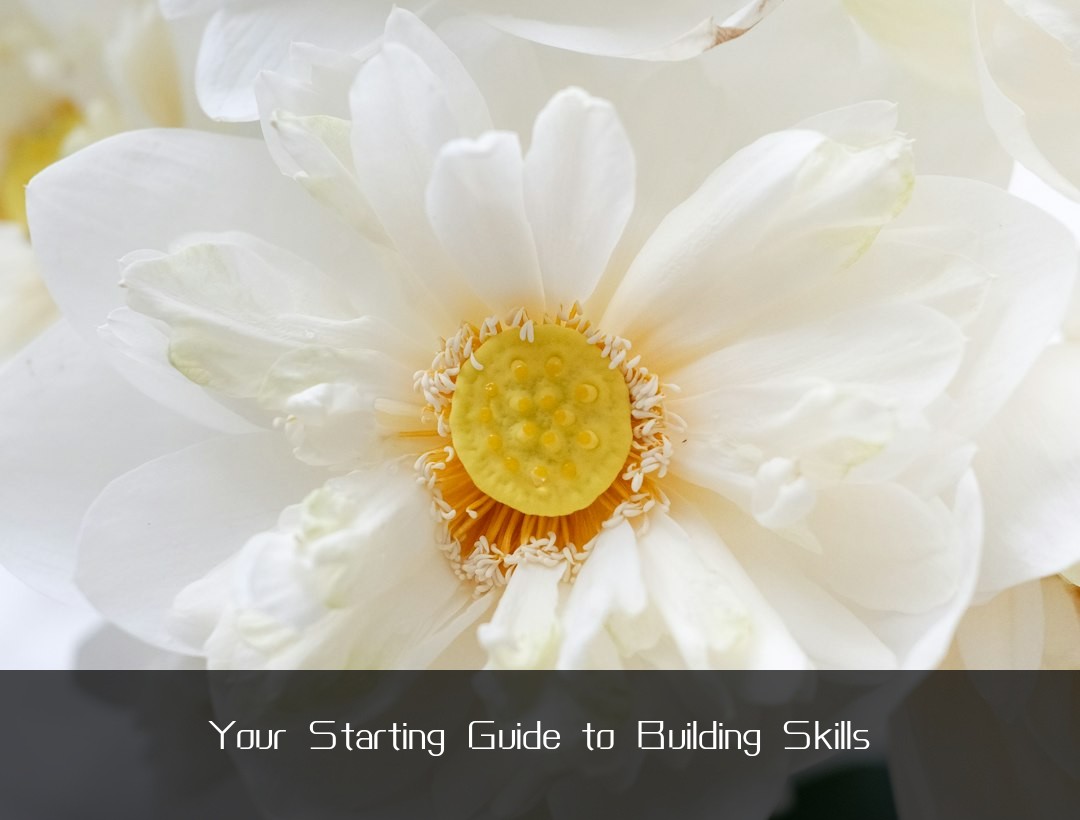 Your Starting Guide to Building Skills