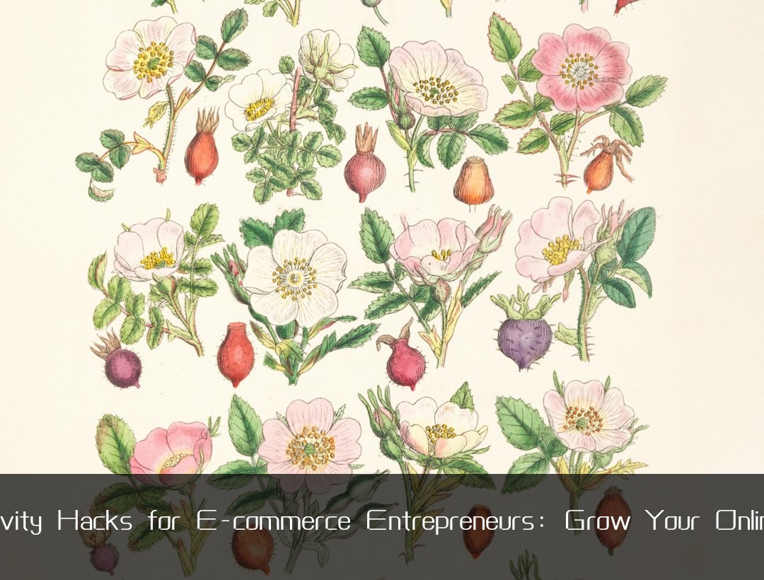 Productivity Hacks for E-commerce Entrepreneurs: Grow Your Online Store