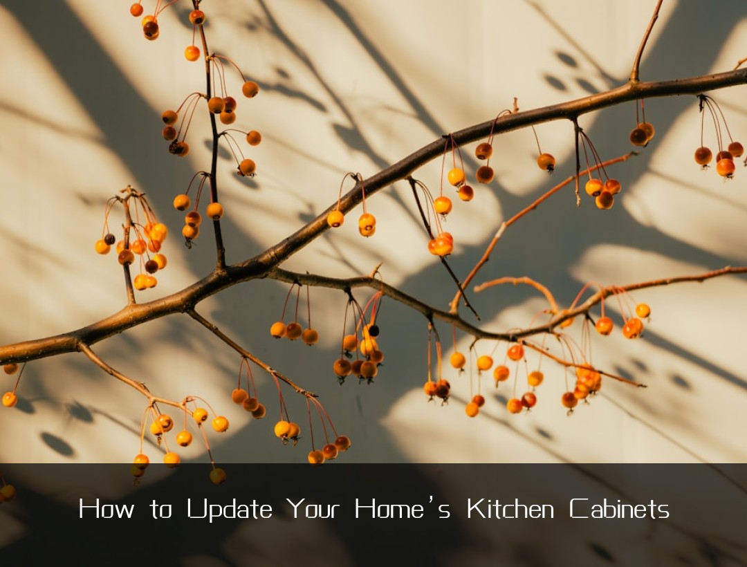 How to Update Your Home’s Kitchen Cabinets
