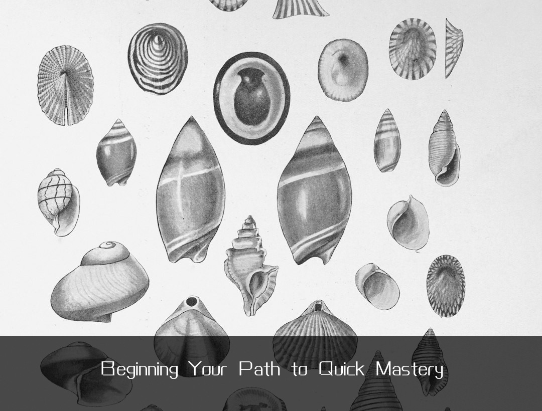 Beginning Your Path to Quick Mastery