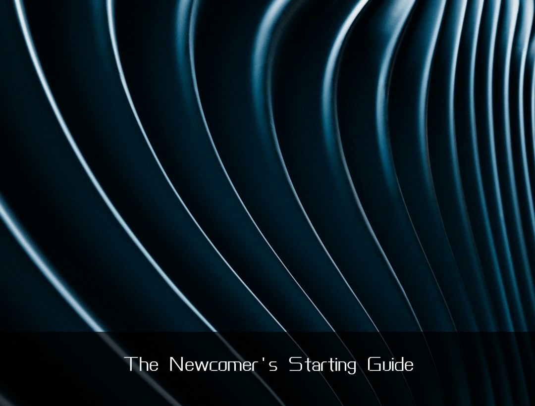 The Newcomer's Starting Guide