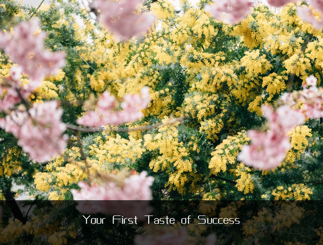 Your First Taste of Success