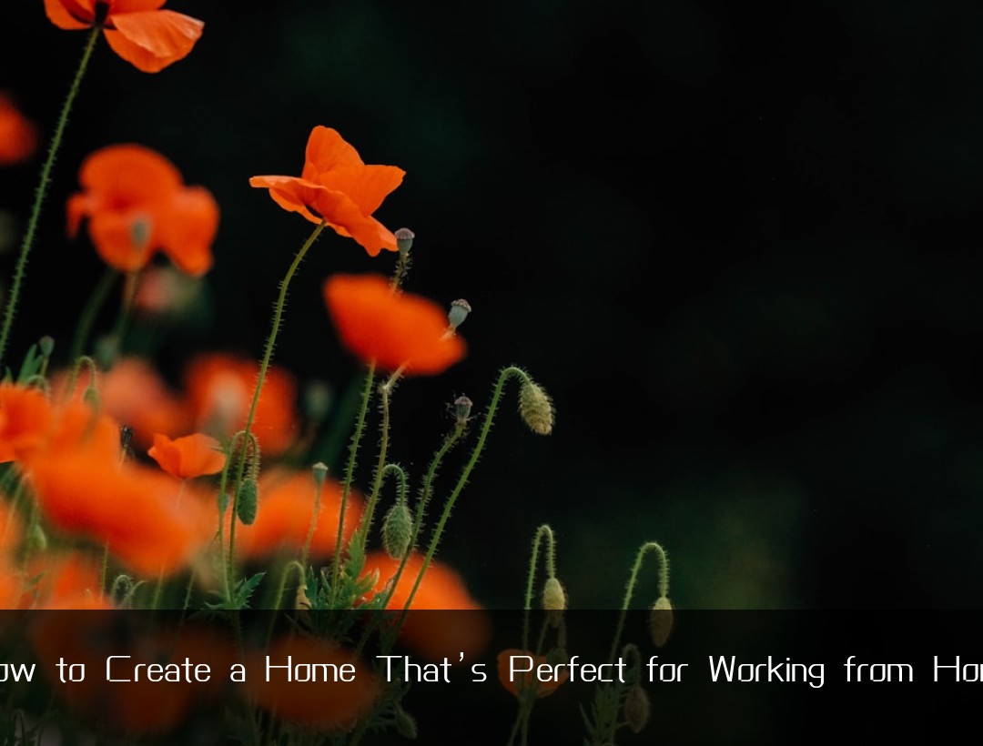 How to Create a Home That’s Perfect for Working from Home