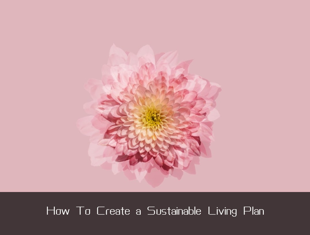 How To Create a Sustainable Living Plan