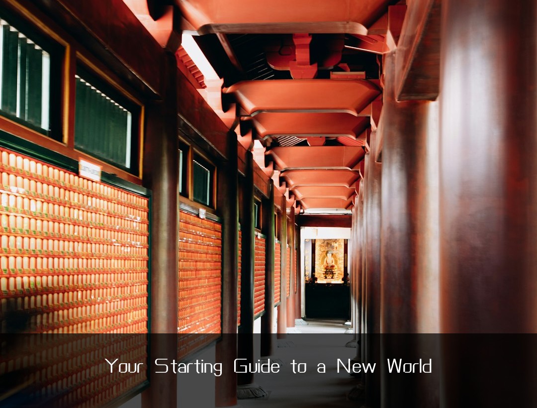 Your Starting Guide to a New World